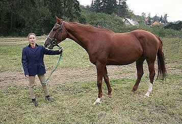 Kobylka ČT Soneta s majitelkou Martinou Kertészovou (2. místo v exteriérovém hodnocení koní)