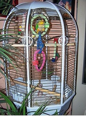 Vybavená klec pro papouška