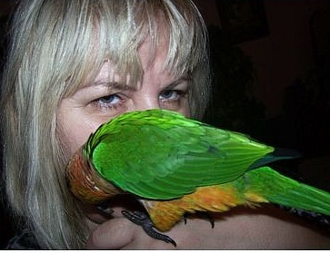 Hrátky s papouškem