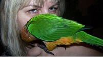 Správné podmínky pro papouška - spokojený majitel