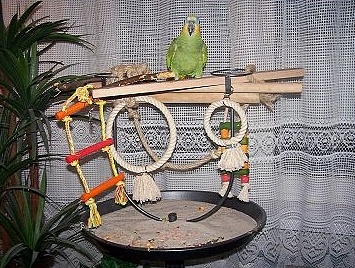 Hračky pro papouška