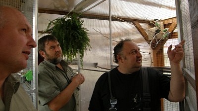 Chovatelská esa Bedřich Gavenda (blíže k nám) a Miloslav Soušek, vpravo Jiří Kohout při svém výkladu