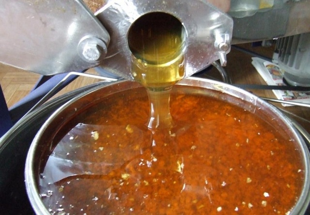 Stáčení medu z medometu