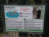 Wogelpark Walsrode duben 2013