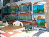 Akvária