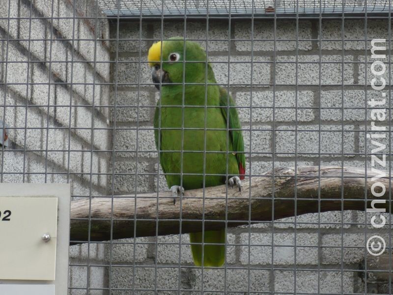 Ptačí park Veldhoven