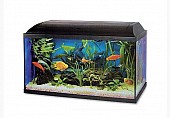 Akvárium set PACIFIC 50 cm (37l), s výbavou