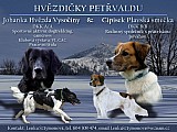Český horský pes - rezervace štěňátek s PP