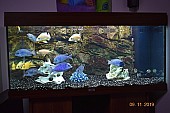 Akvárium Juwel Rio 180 s Tlamovci