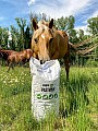 Krmivo pro koně 12,5kg