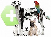 Chovatelské potřeby - Služby pro zvířata