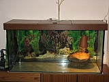 Velké akvarium