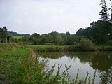 zemědělskou usedlost s rybníkem na samotě