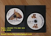 Bulterier DVD