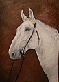 Malování koní