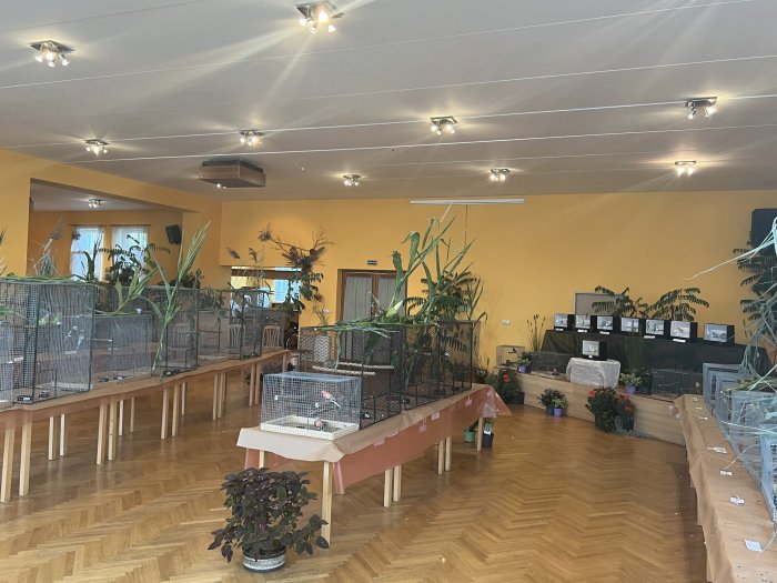 Výstava Papoušci Vrbičany u Lovosic
