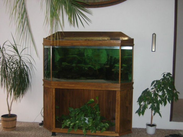 akvárium 1,2x50x50cm