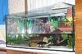 Akvárium pro želvu