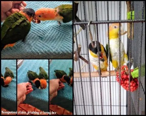 Fotografie #136