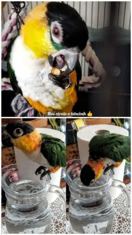 Fotografie #137