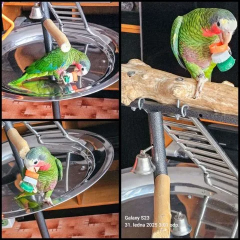 Fotografie #142