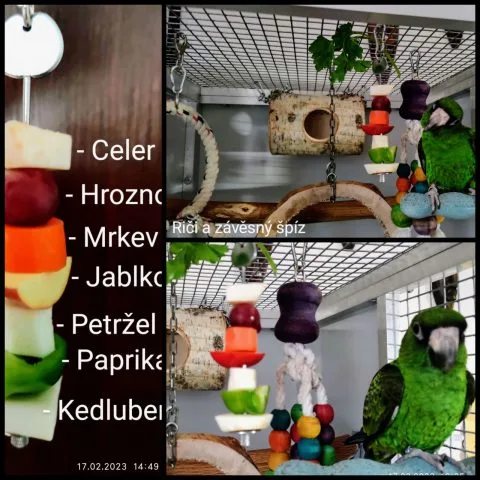 Fotografie #143