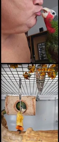 Fotografie #155