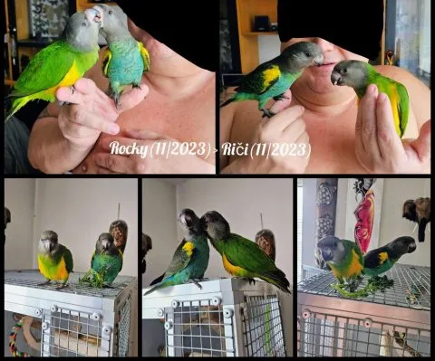 Fotografie #156