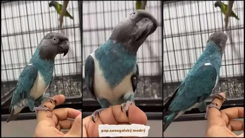 Fotografie #169