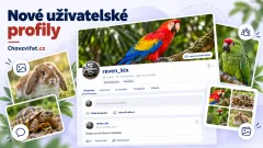 Fotografie z chovu