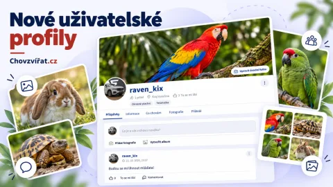 Konečně jsme spustili nové profily