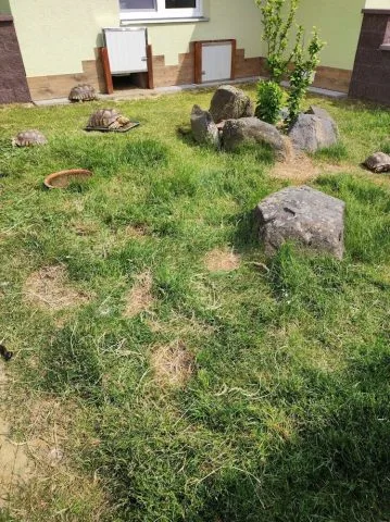 Výběh pro želvy