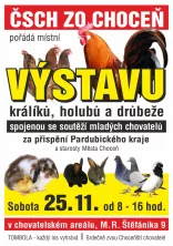 Výstava králíků, holubů a drůbeže Choceň
