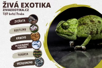 Živá Exotika prosinec 2023