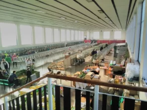 Celodenní trh zvířat Slavkov u Brna 2024