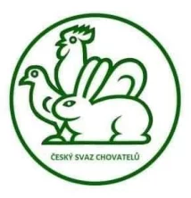 Burza České Budějovice leden 2025