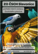 Výstava exotického ptactva Slavonice