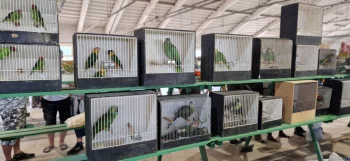 Burza Přerov srpen 2026