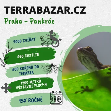 TERRABAZAR - prodejní burza terarijních zvířat srpen 2026