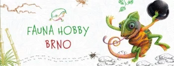 Fauna Hobby Brno únor 2026