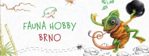 Fauna Hobby Brno únor 2026