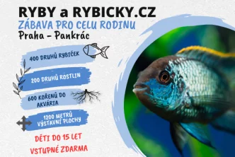 Ryby a rybičky - akvaristická burza Praha leden 2026