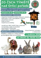 Výstava Týniště nad Orlicí