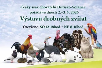 Místní
