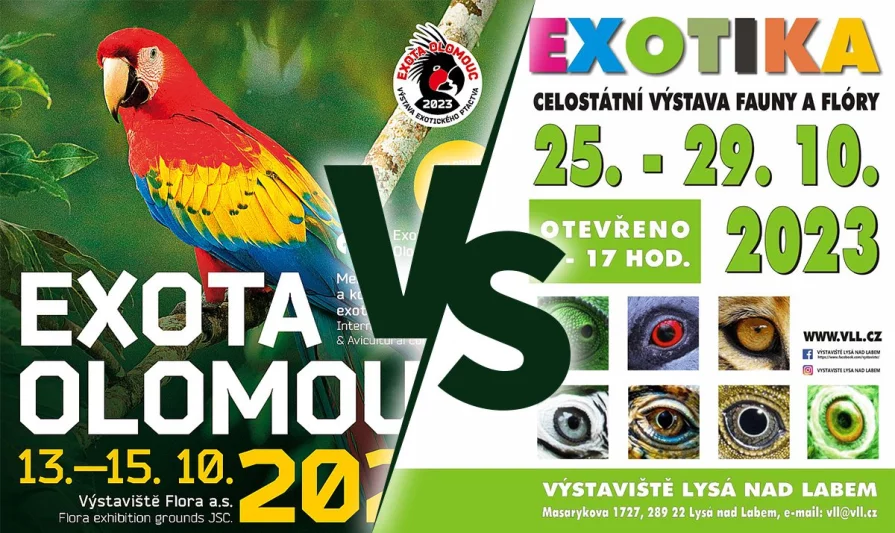 Povídání o výstavách ptactva - EXOTA Olomouc, Exotika Lysá nad Labem