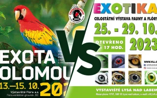 Povídání o výstavách ptactva - EXOTA Olomouc, Exotika Lysá nad Labem