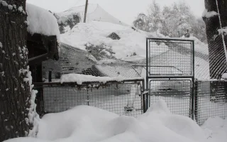 ZOO Hluboká je dočasně uzavřená. Sníh poničil voliéry, někteří ptáci uletěli
