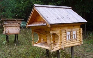 Kdy budou včely šťastné?