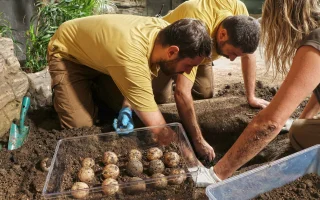 ZOO Plzeň je blízko velkému úspěchu. Želva obrovská nakladla vejce