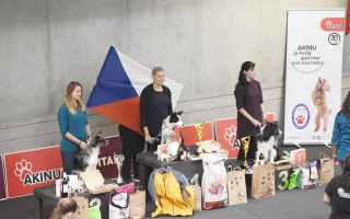 Vrchol českého dogdancingu nabídl pestrý program